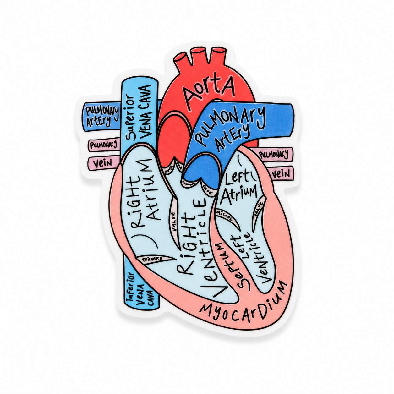 Anatomical Heart | Plastic Add-On - BadgeSmith