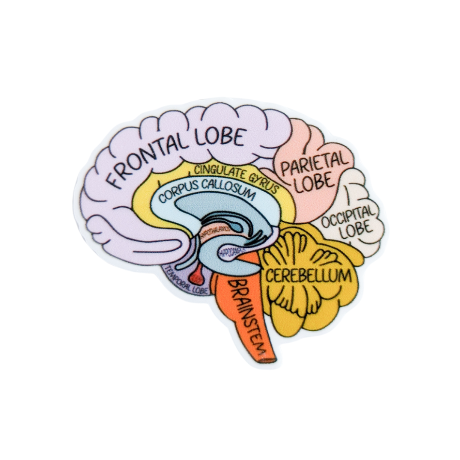 Brain Anatomy | Plastic Add-On - BadgeSmith