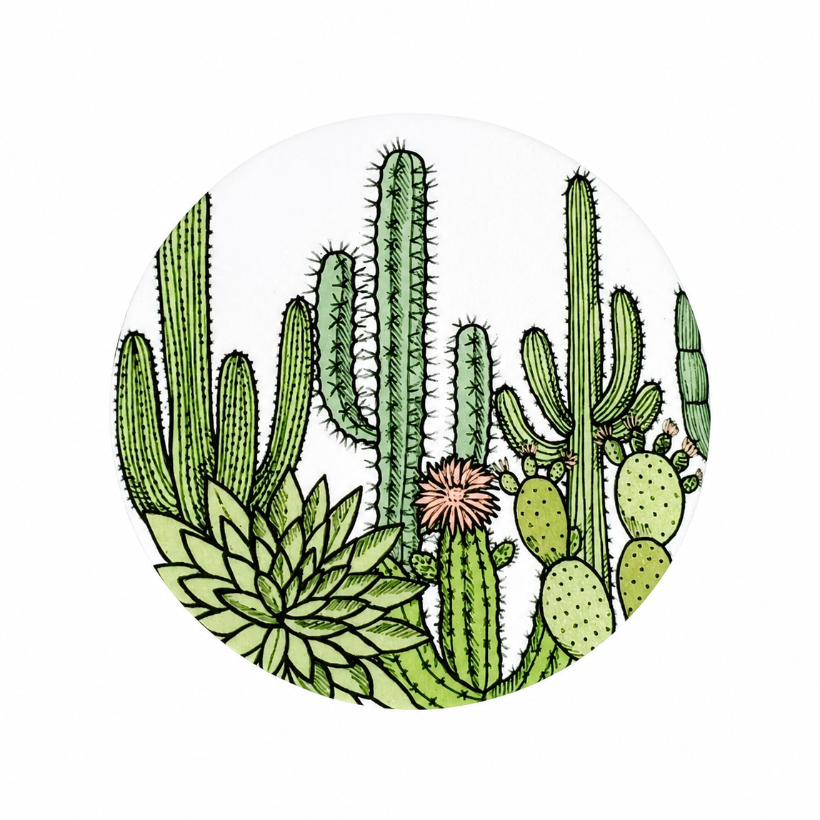 Desert Cactus Garden | Hard Board Add-On - BadgeSmith