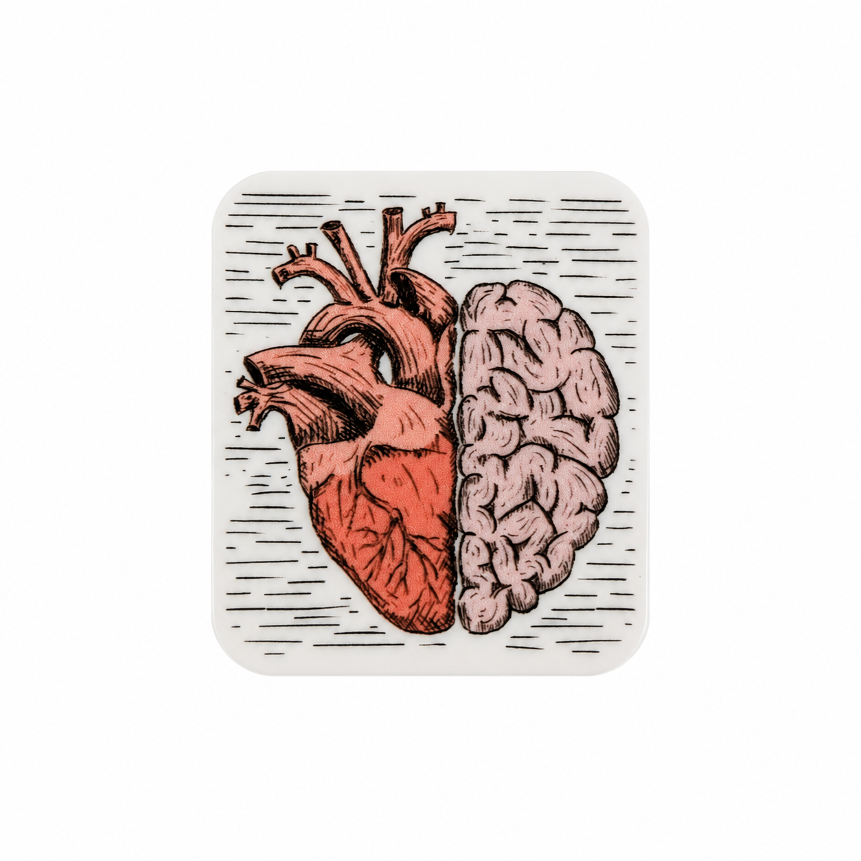 Heart & Brain | Plastic Add-On - BadgeSmith