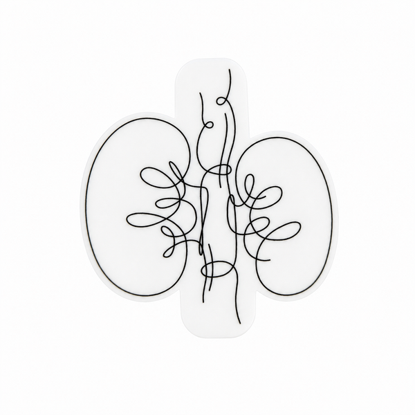 Kidney Line Art | Plastic Add-On - BadgeSmith