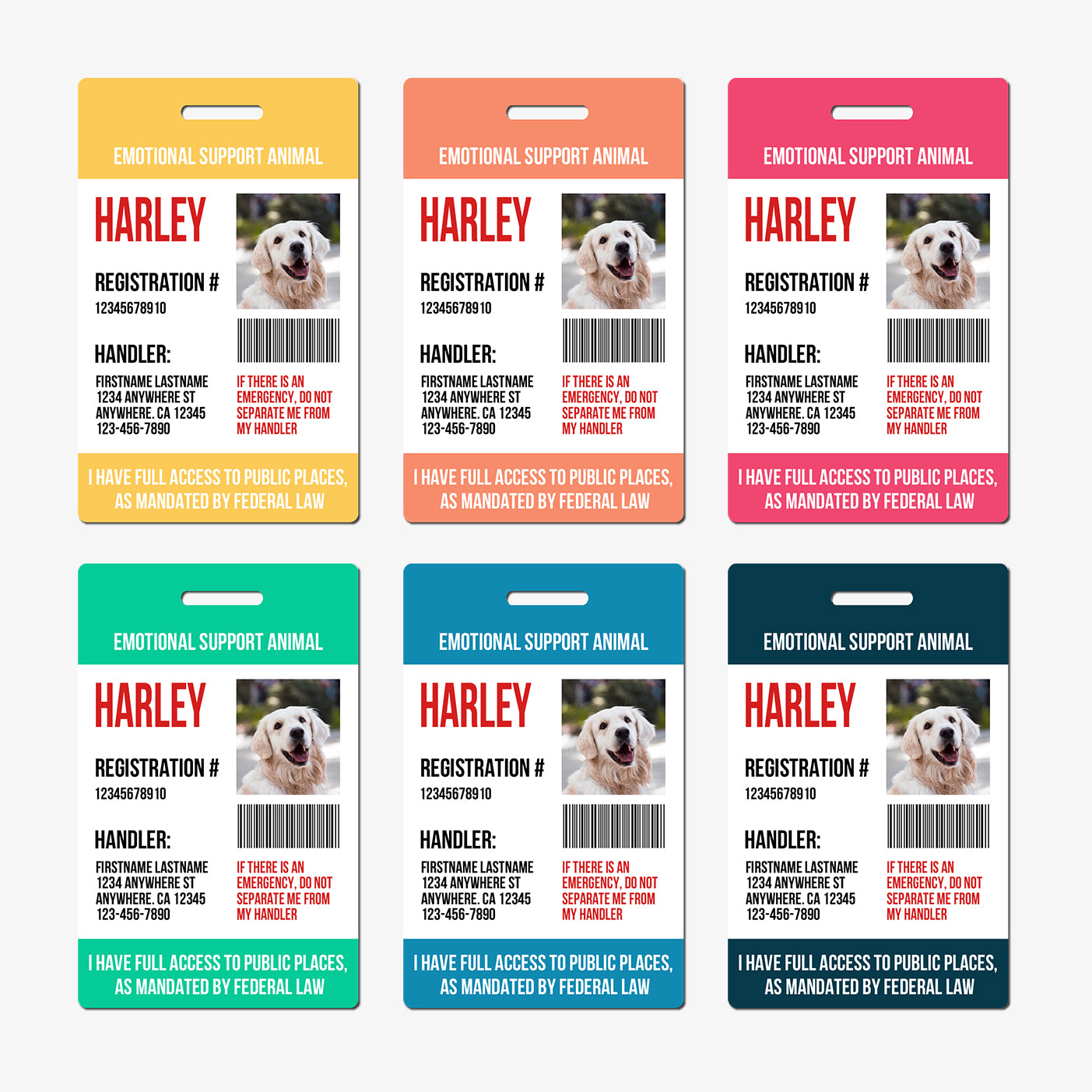 Emotional Support or Companion Animal ID Card - BadgeSmith