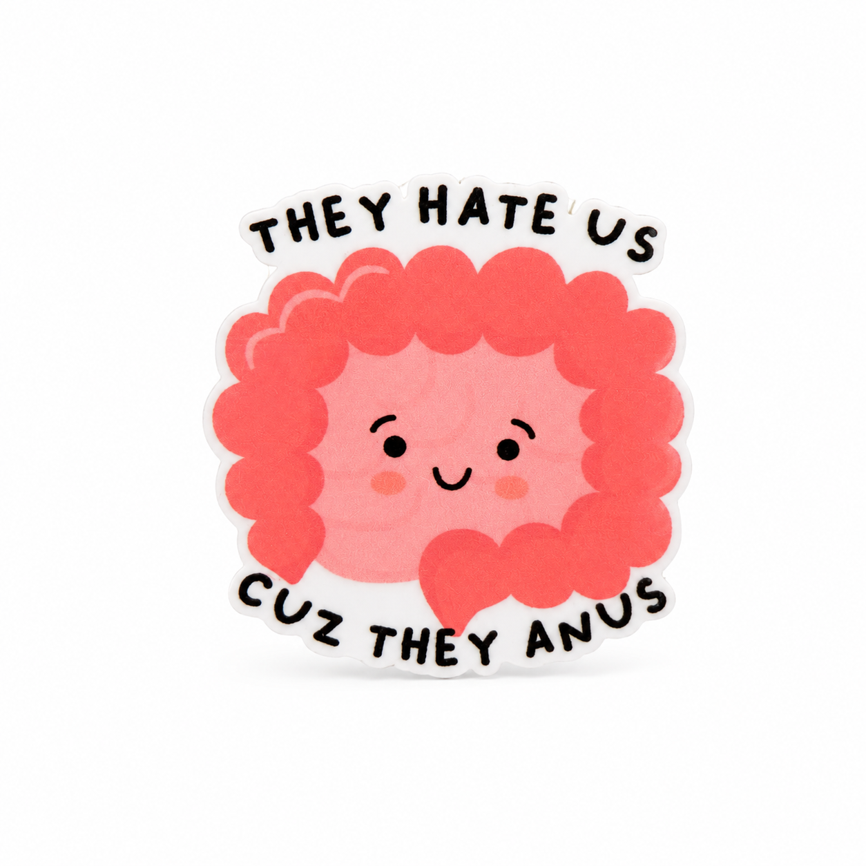They Hate Us Cuz They Anus | Plastic Add-On - BadgeSmith